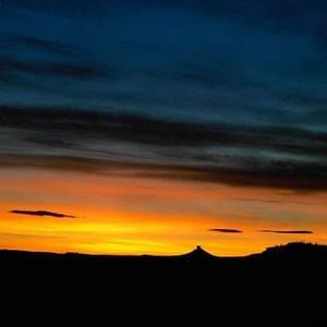 Meet your Posher, Shelly